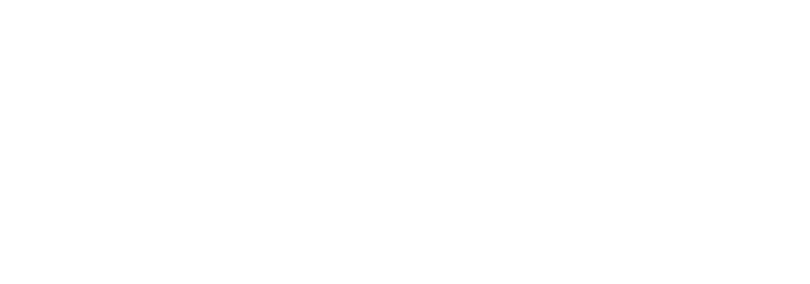 Rauk AI